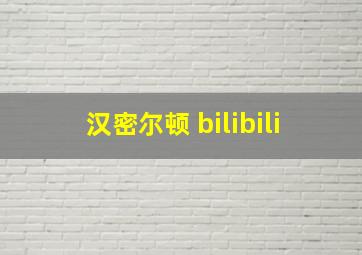 汉密尔顿 bilibili